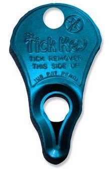 tick key